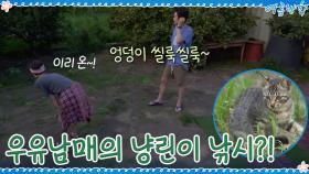 돌아온 윰태공! 오늘은 우유남매가 함께하는 냥린이 낚시☆ | tvN 200918 방송