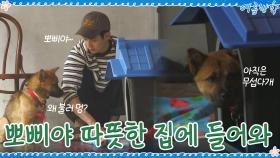 들이치는 비에 뽀삐 걱정...ㅠㅠ 뽀삐야 집에 들어오렴 | tvN 200925 방송