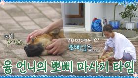 뽀삐가 제일 행복한 순간♡ 유미 언니의 마사지 타임 | tvN 200918 방송