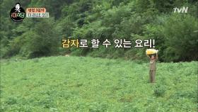 감자로 할수있는 요리! 하나둘셋! 이벤트는 멈추지 않는다 | tvN 201009 방송