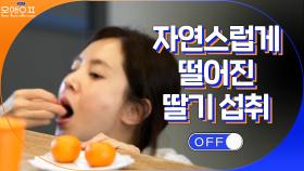 엄마 한채아, 차차가 떨어 뜨린 딸기는 자연스럽게 입으로! | tvN 210316 방송