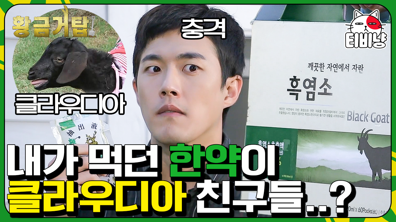 클라우디아 실종 사건 이후 깨달은 그것,, 흑염소 앞에서 흑염소 한약을 먹어버린 김호창.. 정말 그는;; | 티비냥 황금거탑 | CJ ENM 140917... 