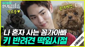 나 혼자 산다 화제의 댕댕이 꼼데&가르송🐶과 개아빠 키(KEY)! 아기 댕댕이 시절의 귀여움 폭발💞 | #서울메이트2 #디글 #인기급상승