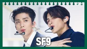 [동아리 특집] SF9 - Good Guy | Mnet 210325 방송