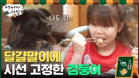 나 하나만 주라.. 달걀말이에 시선고정한 검둥이(aka 신스틸러) | tvN 210325 방송
