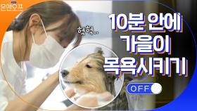 집사 고원희의 손길 느끼며 목욕하는 가을이ㅠ.ㅠ 순딩미 폭발 | tvN 210330 방송
