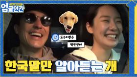 한국말만 알아 듣는 반려견 때문에 생긴 웃긴 에피소드ㅋㅋㅋㅋ | tvN 210403 방송