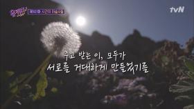 오늘 찰나라도 우리가 서로의 시간에 깃들었다면... 그 또한 마법 같은 일☆ | tvN 210407 방송