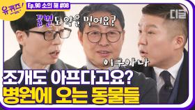 조개도 아픔을 느끼고 꿀벌도 약을 먹는다니😲 병원을 찾아오는 특이한 동물들│#디글 #유퀴즈온더블럭 | CJ ENM 210120 방송