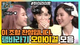 이 조합 너무 찬성ㅠ.ㅠ 탱 선배가 너무 좋은 오마이걸 #highlight | tvN 210410 방송