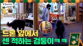 야 덤벼! 차 사장 있다고 드론 앞에서 센 척하는 검둥이 | tvN 210415 방송