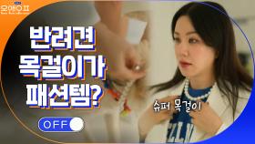 패셔니스타 정화의 포인트 아이템은 반려견 목걸이...? | tvN 210420 방송