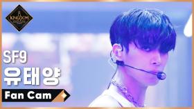 [직캠] SF9 유태양 - ♬ The Stealer (The Scene) @2차 경연