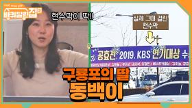 연기대상 받고 동네에 플랜카드까지 걸린 구룡포의 딸 동백이? | tvN 210423 방송