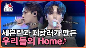 본격 팬들 노래시키는 가수, 캐럿부심 절로 나는 세븐틴(SVT) 'HOME' 떼창 응원법💎 | #300엑스투 | CJ ENM 190531 방송