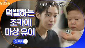 피 같은 아몬드 나눔했는데 먹뱉하는 조카에 마상 당한 이모 | tvN 210427 방송