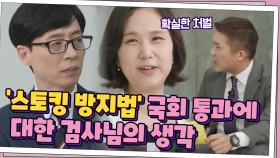 '스토킹 방지법' 국회 통과에 대한 서아람 검사님의 생각 | tvN 210428 방송