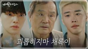 ＂채록인 크게 날아오를 사람이야＂ 김권에게 경고하는 박인환 #내새꾸_소듕해 | tvN 210329 방송