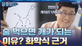 술 먹으면 개가 되는 이유=알아두면 쓸데 있는 화학식 2탄! | tvN 210425 방송