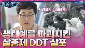 전국에 살포했던 살충제 DDT, 결국 모든 생태계를 파괴시켰다 | tvN 210425 방송