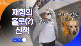 분명 해듬이가 없지만 해듬이가 있는 것 같은 재형의 산책,,, | tvN 210504 방송