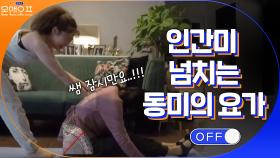오늘 처음 하신 거 아니죠..?^^기본 동작부터 막힌 신동미의 요가 도전 | tvN 210511 방송