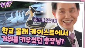 학교에 이야기 안 하고 '카이스트에서 거위 키우기'를 시작하신 총장님...? | tvN 210512 방송