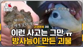 전 세계를 충격시킨 방사능 괴물의 출현! 후쿠시마와 체르노빌에서 발견된 괴생명체들의 정체는?! 미스터리 괴생명체 3위 | #M16 | CJ ENM 141119 방송