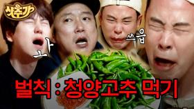 꿀잼보장⭐ 청양고추 얼굴로 먹는 신서유기 멤버들 보고 가시겠어요?🌶 | #신서유기8 #Diggle #샷추가 | CJ ENM 201030 방송