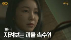 (불안) 마트 한켠, 김옥빈을 지켜보는 괴물 촉수...?! | OCN 210522 방송