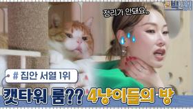 내 방이야 ㅡㅡ나가라옹! 집안 서열 1위 치타의 4냥이들이 차지한 방?! | tvN 210524 방송
