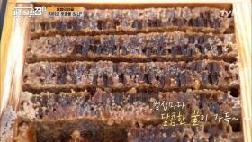 병철이 가져온 귀한 '벌집꿀' 실물 영접하고 놀란 식구들 ㅇ0ㅇ | tvN 210528 방송