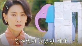 ＂벽은 코끼리가 만들어낸 거예요＂ 편견을 깨버린 작품으로 답을 구한 김서형 | tvN 210530 방송