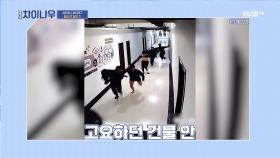 골든타임 엄수!! 필사의 달리기를 한 소방관들 (멋있어♥) | 중화TV 210606 방송