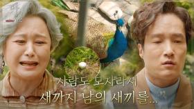 노덕이 너마저...♨? 박원숙, 노덕이 옆에 등장한 의문의 알에 울상ㅠㅠ | tvN 210613 방송