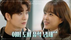 신도현을 아프게 한 죄! 강태오에 고단수 돌려까기 시전하는 박보영 | tvN 210614 방송