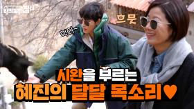 염소들이 너무 귀여운 시완이와 그런 시완이가 귀여운 혜진 누나,,, | tvN 210514 방송