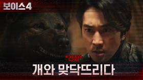 *긴장* 범인의 개들과 맞닥뜨린 송승헌! | tvN 210625 방송