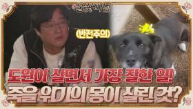 (반전주의) 도원이 살면서 가장 잘한 일, 죽을 위기에 있던 몽이 살린 것..#불꽃미남 | tvN STORY 210624 방송