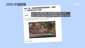 뿌우~ 대륙을 탐방 중인 코끼리 대가족 (귀여워♥) | 중화TV 210704 방송