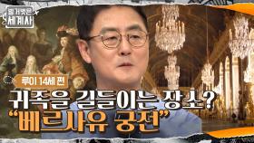 절대 빠져나갈 수 없는 덫, 귀족을 길들이는 장소 '베르사유 궁전' | tvN 210706 방송