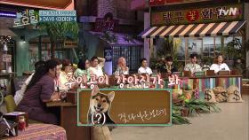 데이식스 아야야 ♪ 짖다 나온 건데 & 주인공이 강아지? 대환장 받쓰 ㅋㅋ | tvN 210710 방송