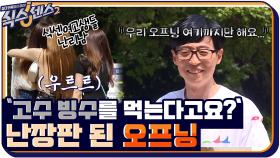 '고수 빙수를 먹는다고요??' 식센 여고생들 난장판 된 오프닝 | tvN 210723 방송