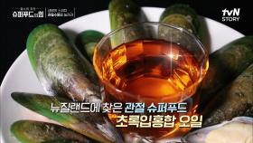 '초록입홍합오일' 염증수치+관절통증 감소?! 2주 섭취 후 놀라운 결과!! #유료광고포함 | tvN STORY 210806 방송
