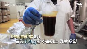 관절통과 염증을 완화 작용을 하는 '초록입홍합' 가공되는 과정?! | tvN STORY 210806 방송