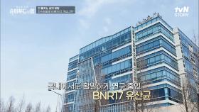 면역력 증진은 물론 나쁜 지방인 '백색 지방' 의 크기도 줄여준다는 슈퍼푸드 'BNR17' #유료광고포함 | tvN STORY 210813 방송