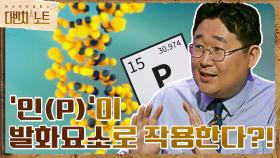 발화 요소로 작용 가능한 '인(P)'? ＜인체 자연발화＞ 두 번째 가설 '인(P)' | tvN 210814 방송