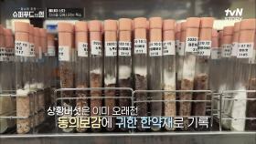 동의보감에도 기록된 한약재! 조선시대 왕들의 체력보강 약재로도 사용된 슈퍼푸드 '장수상황버섯' | tvN STORY 210820 방송