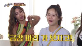 역대급 난이도에 식센이들 찍신 강림!! 제시 정답 올킬 가능??? | tvN 210827 방송