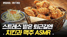 K-소울푸드 치킨과 맥주 리얼 사운드 ASMR (1 hour chicken cooking sounds) | #수요미식회 #디글 #편집자는